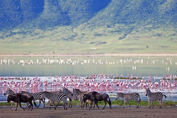 Ngorongoro Crater | Daydream Safaris | Tanzania Safari